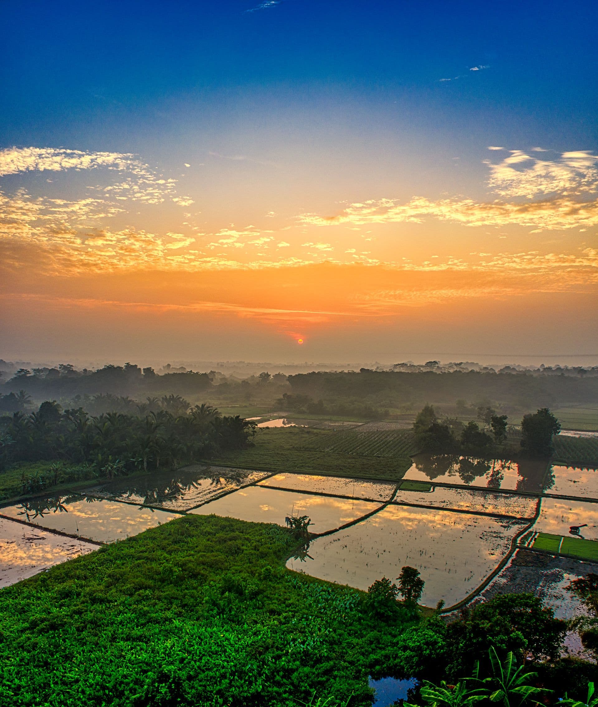 Aerial view of Maharashtra farmland at sunrise
